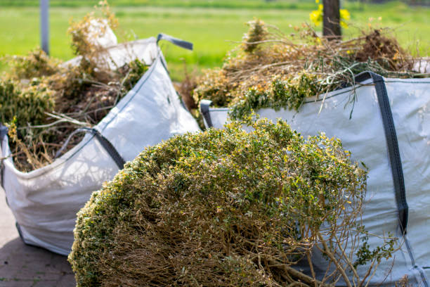 Best Commercial Cleanout Services  in Cedar Rapids, IA